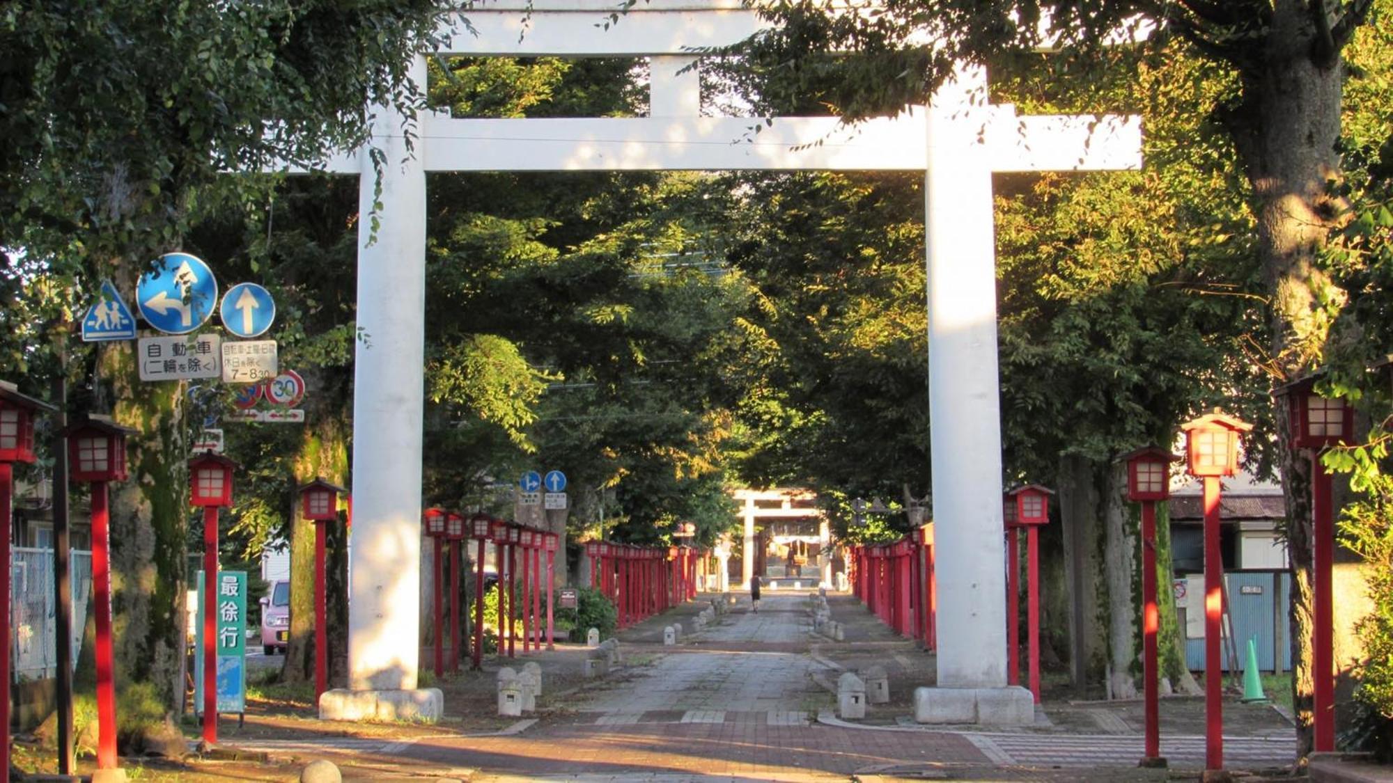 Toyoko Inn Oyama-Eki Higashi-Guchi No.2 Ояма Экстерьер фото